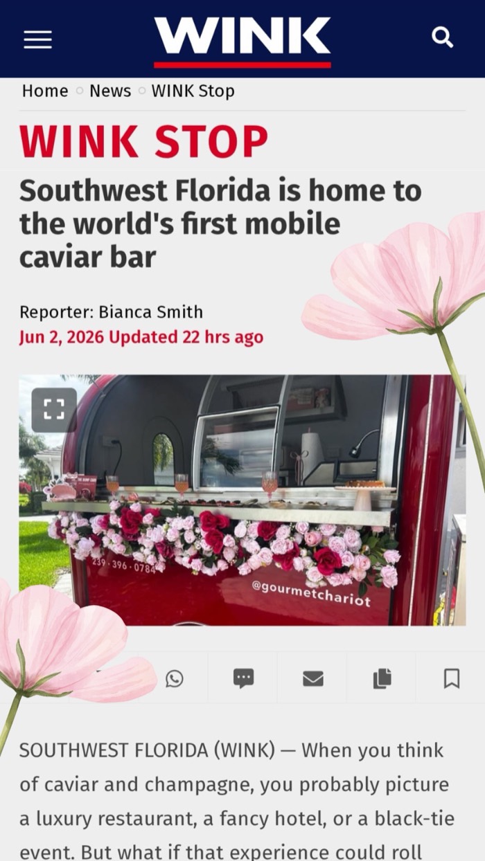 WINK News web story headline
